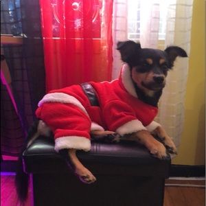 Meet your Posher, Freddy